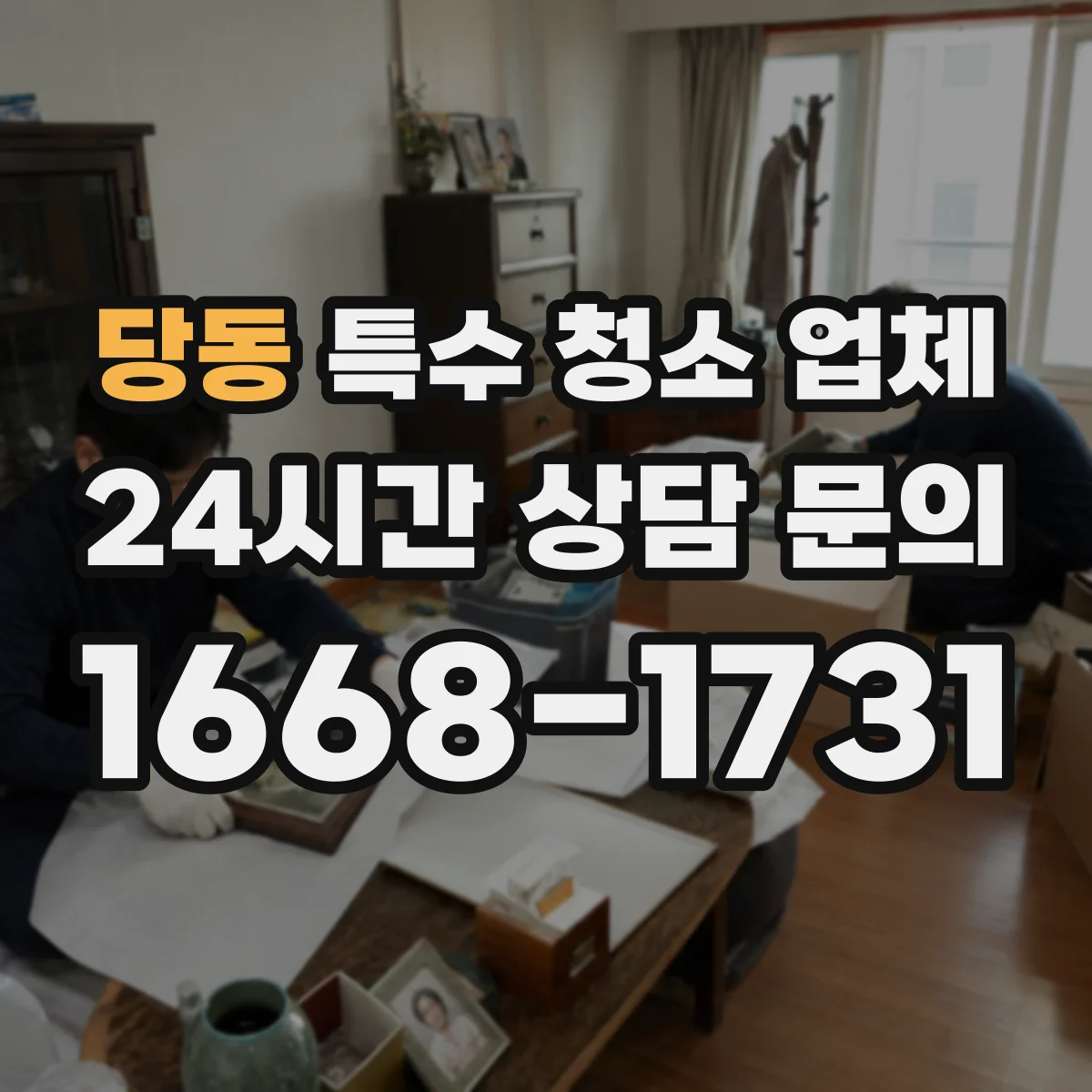 당동 특수 청소 업체