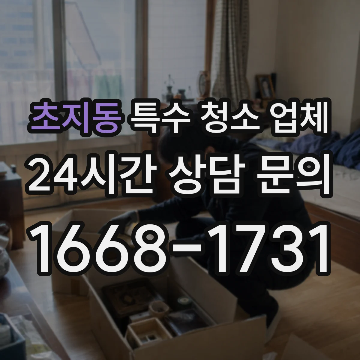 초지동 특수 청소 업체