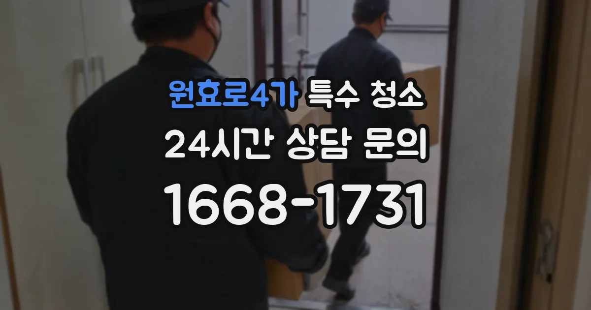 원효로4가 특수 청소
