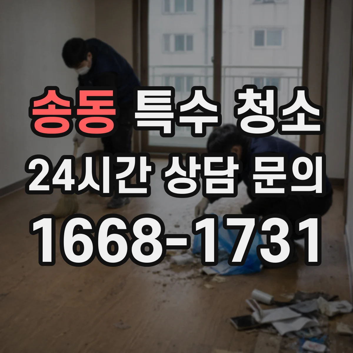 송동 특수 청소