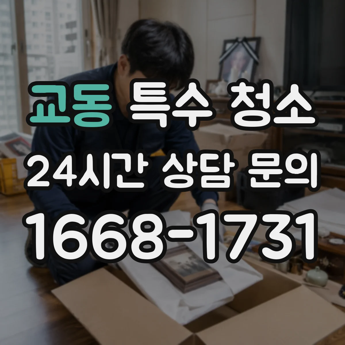 교동 특수 청소