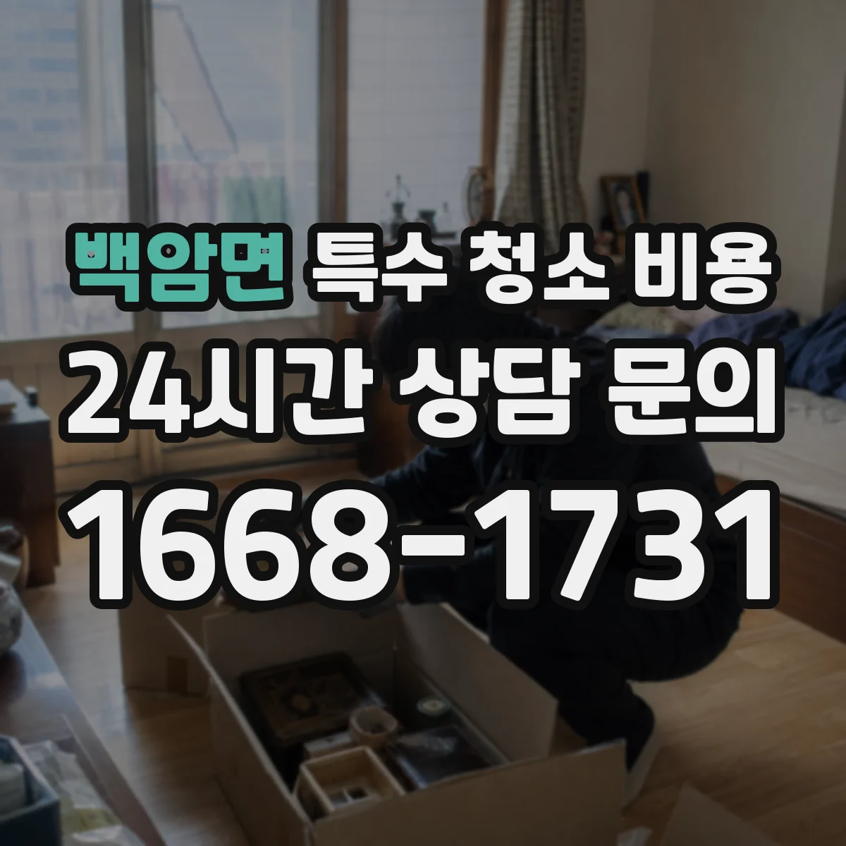 백암면 특수 청소 비용