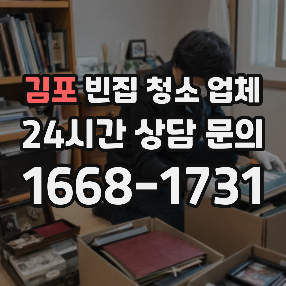 김포 빈집 청소 업체 곰팡이 범위·층화 정도로 판단하는 기준