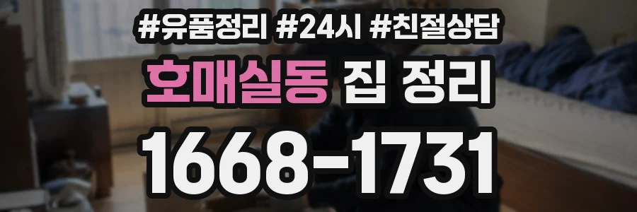 호매실동 집 정리