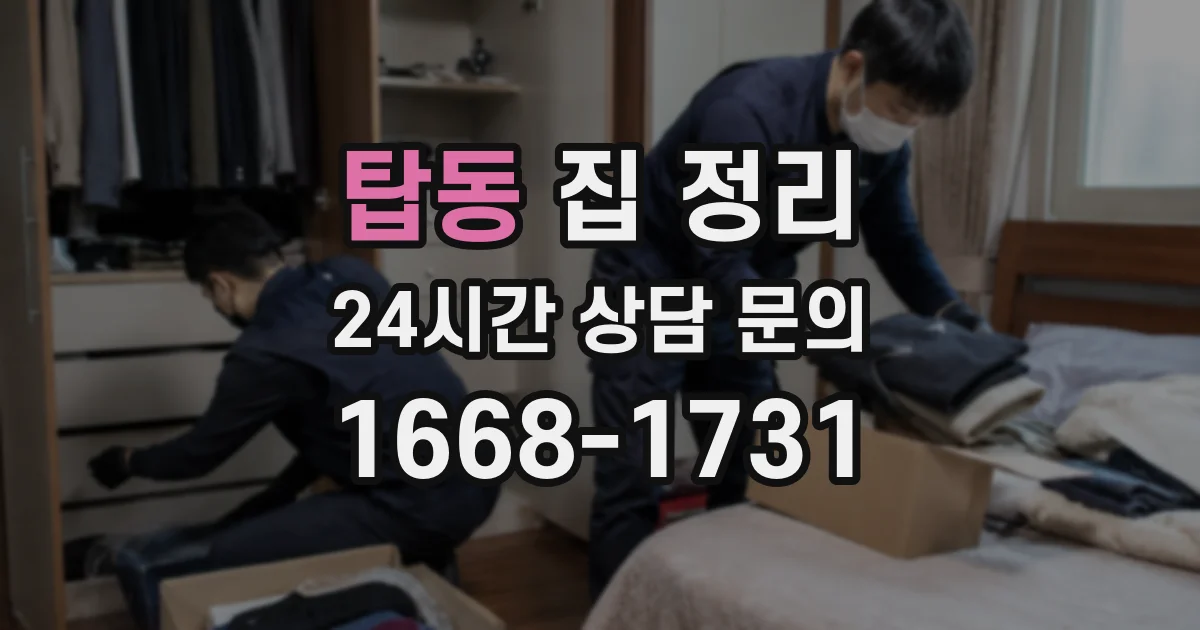 탑동 집 정리