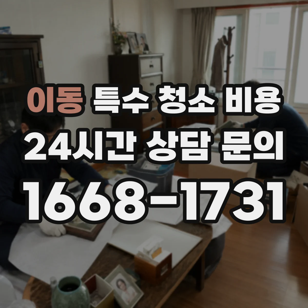 이동 특수 청소 비용