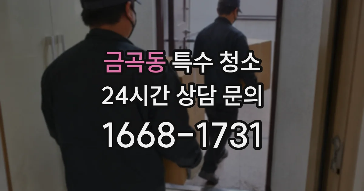 금곡동 특수 청소