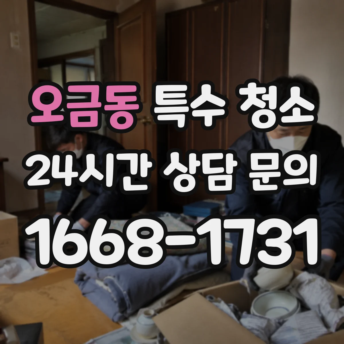 오금동 특수 청소