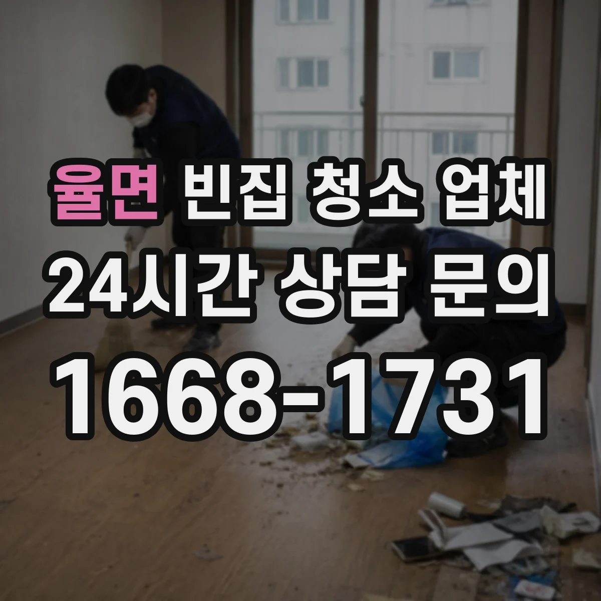 율면 빈집 청소 업체