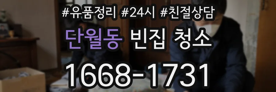 단월동 빈집 청소