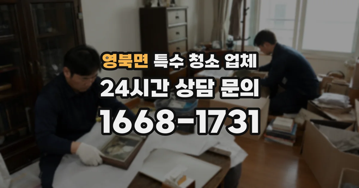 영북면 특수 청소 업체