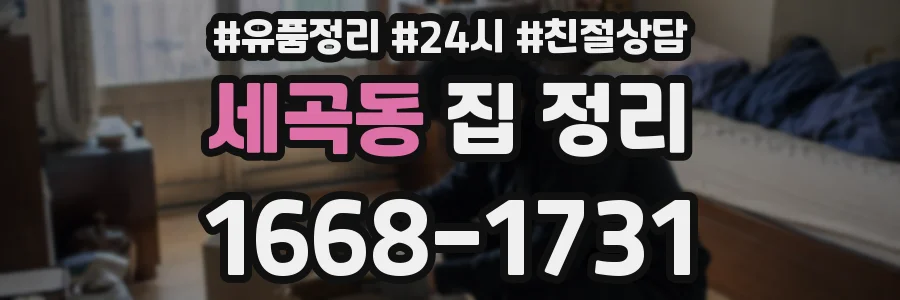 세곡동 집 정리