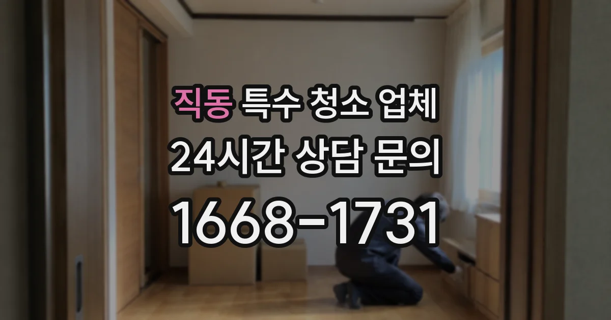 직동 특수 청소 업체