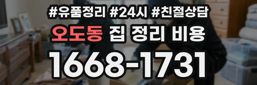 오도동 집 정리 비용