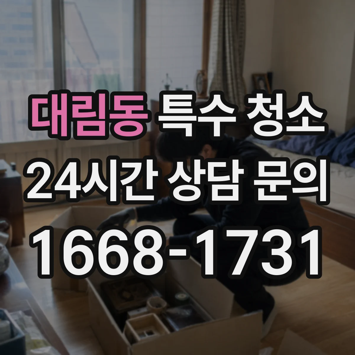 대림동 특수 청소
