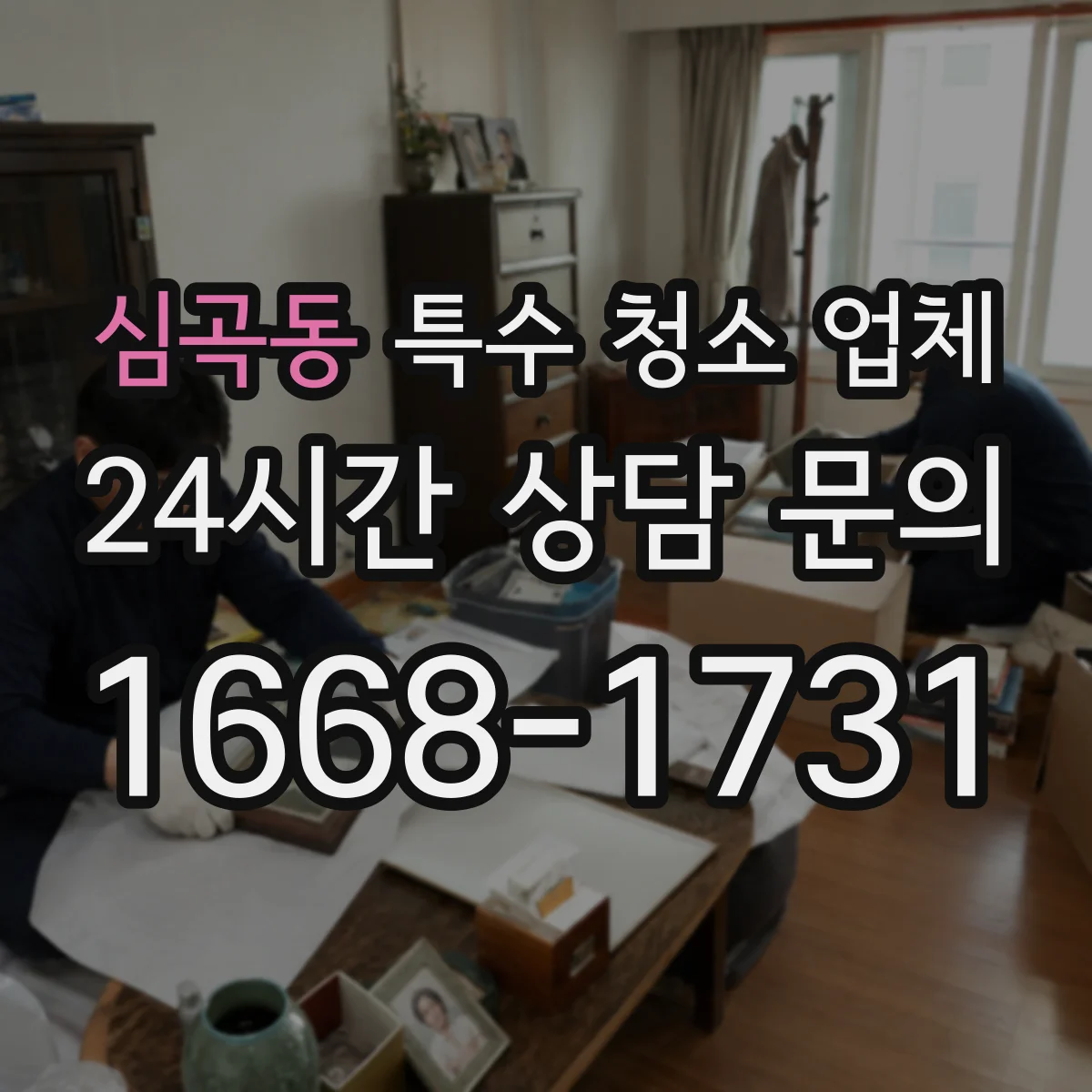 심곡동 특수 청소 업체