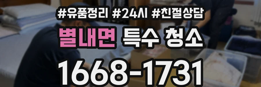 별내면 특수 청소