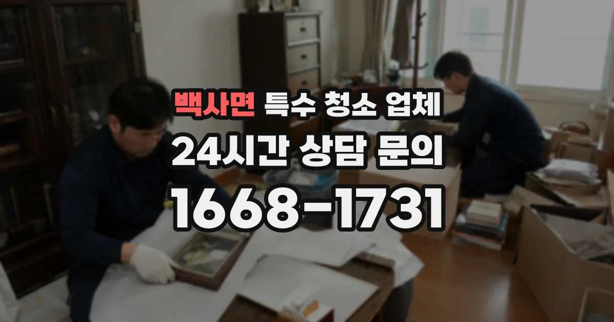 백사면 특수 청소 업체