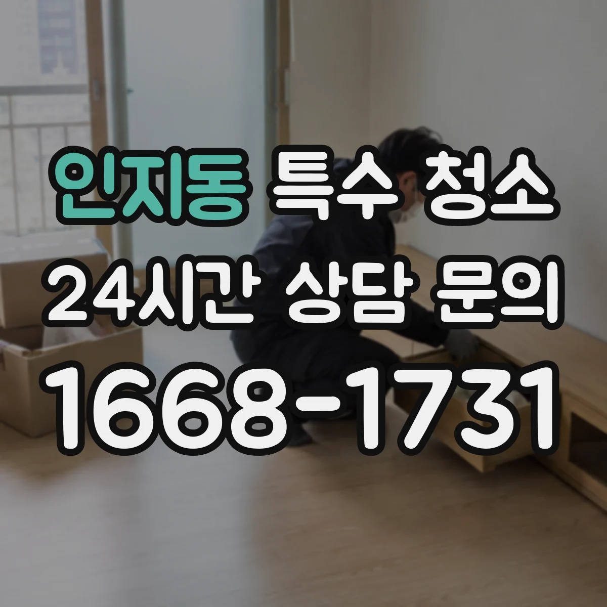 인지동 특수 청소