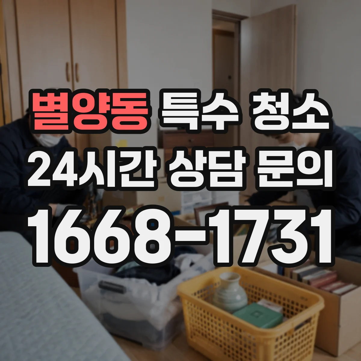 별양동 특수 청소