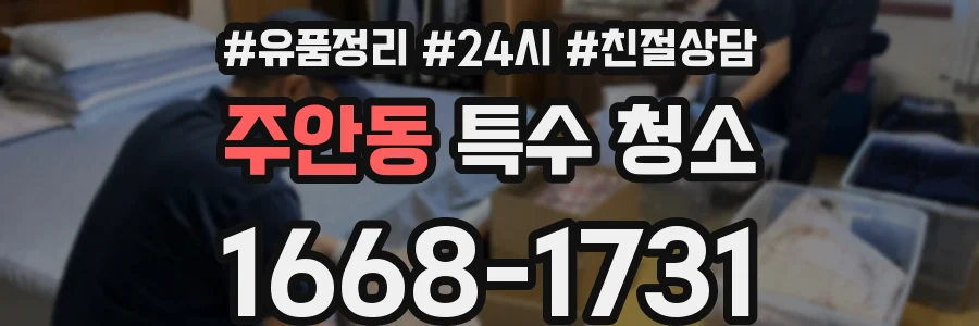 주안동 특수 청소