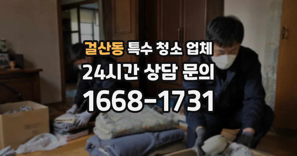 걸산동 특수 청소 업체
