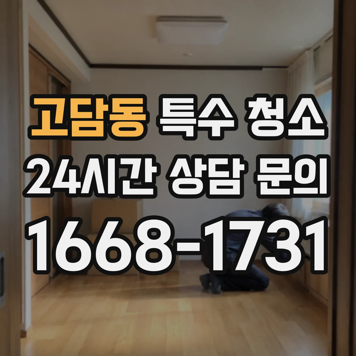 고담동 특수 청소