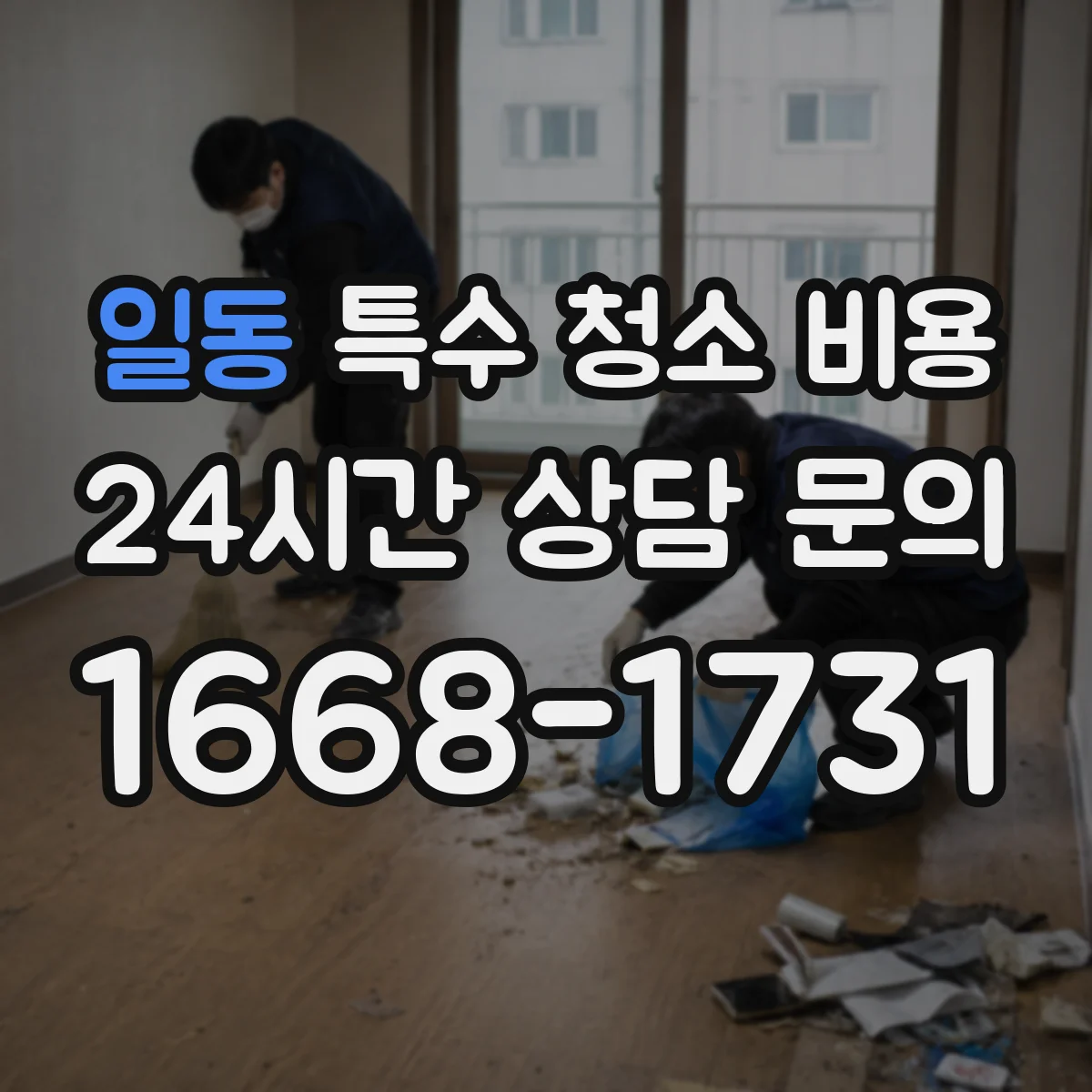 일동 특수 청소 비용