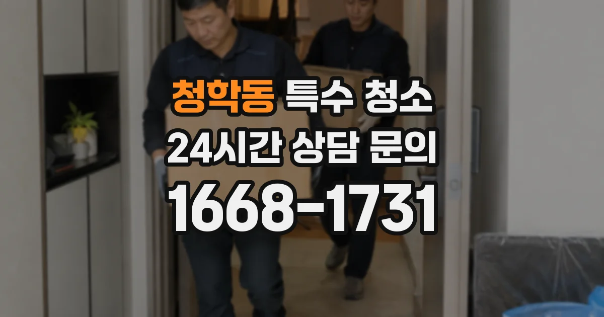 청학동 특수 청소