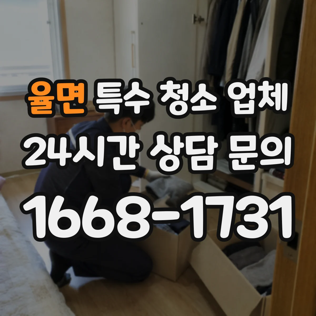 율면 특수 청소 업체