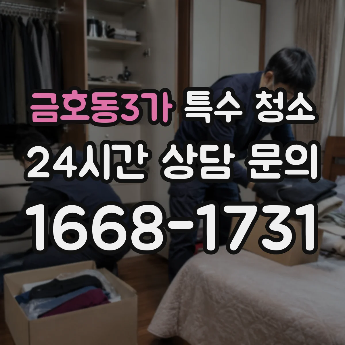 금호동3가 특수 청소