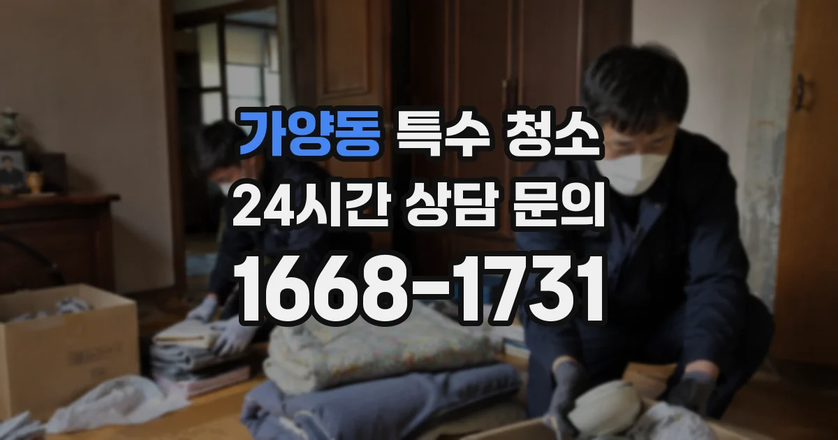 가양동 특수 청소