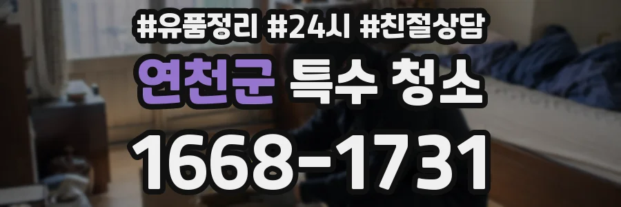 연천군 특수 청소