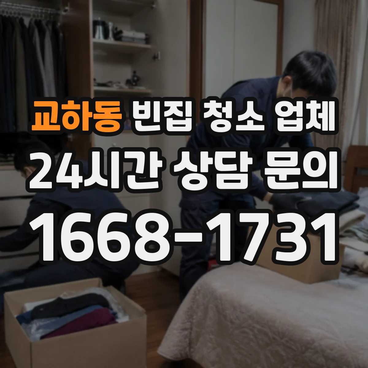 교하동 빈집 청소 업체