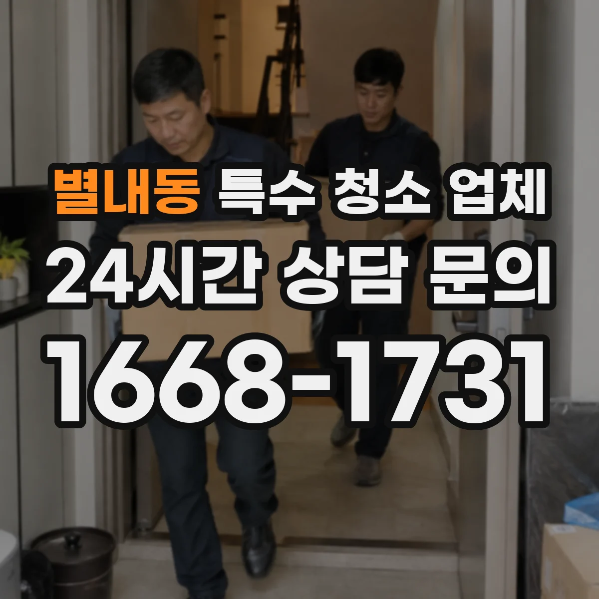 별내동 특수 청소 업체