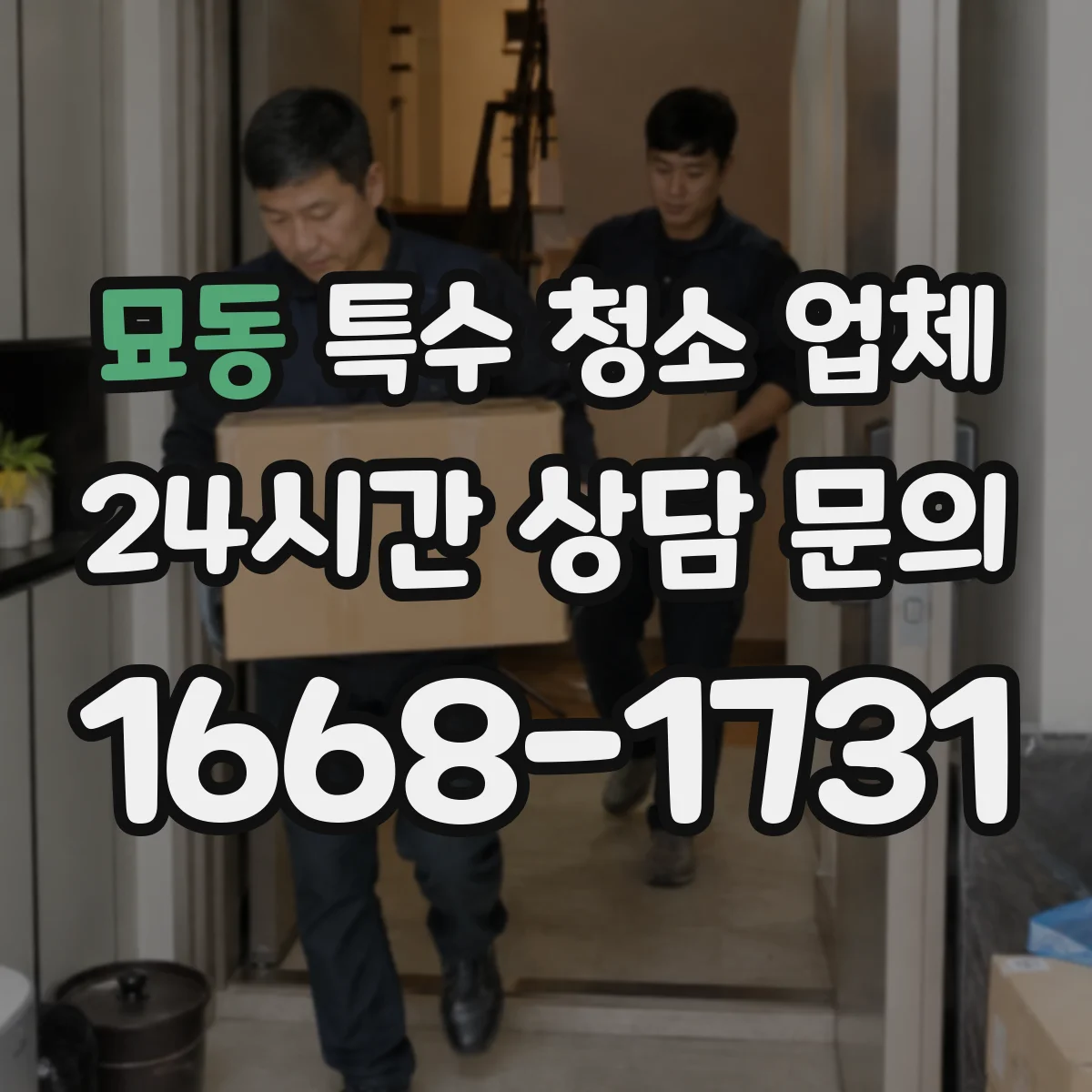 묘동 특수 청소 업체