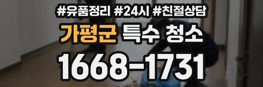 가평군 특수 청소