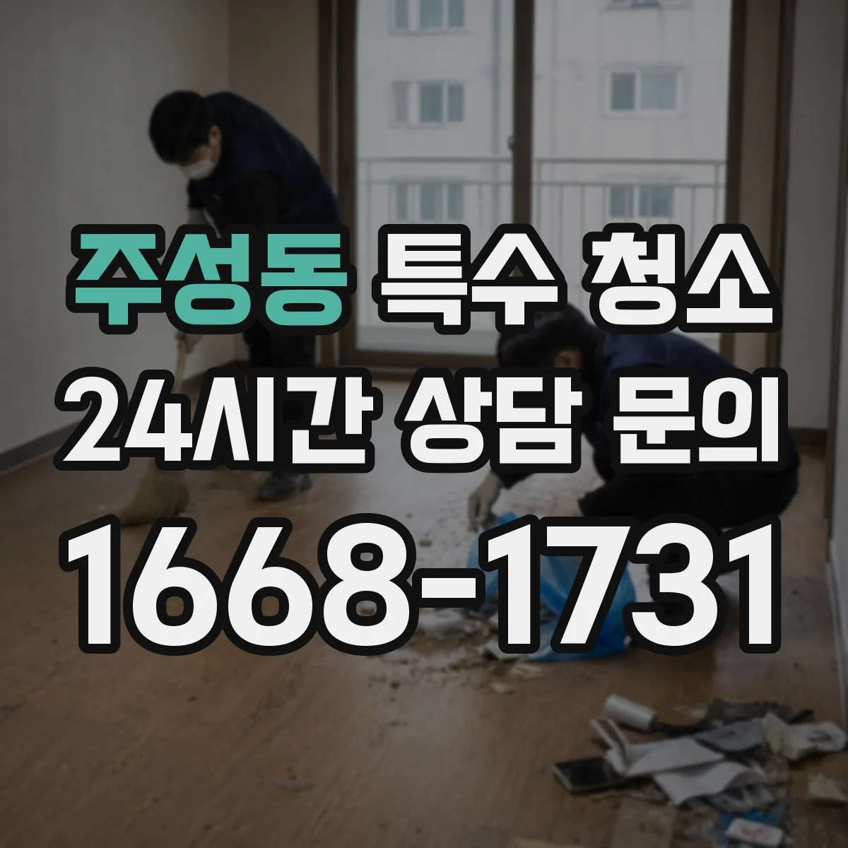 주성동 특수 청소