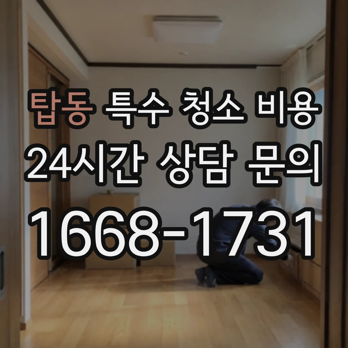 탑동 특수 청소 비용