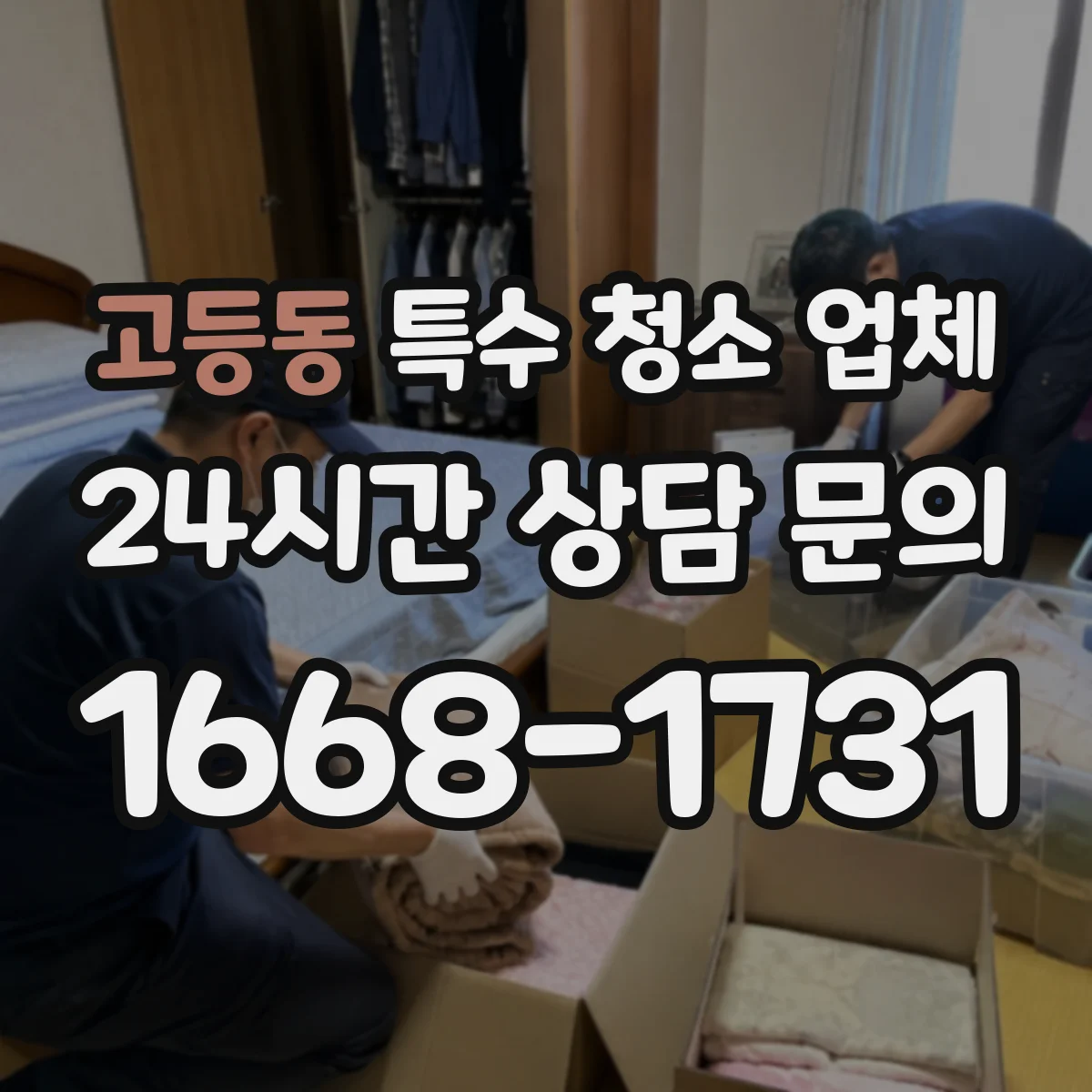 고등동 특수 청소 업체