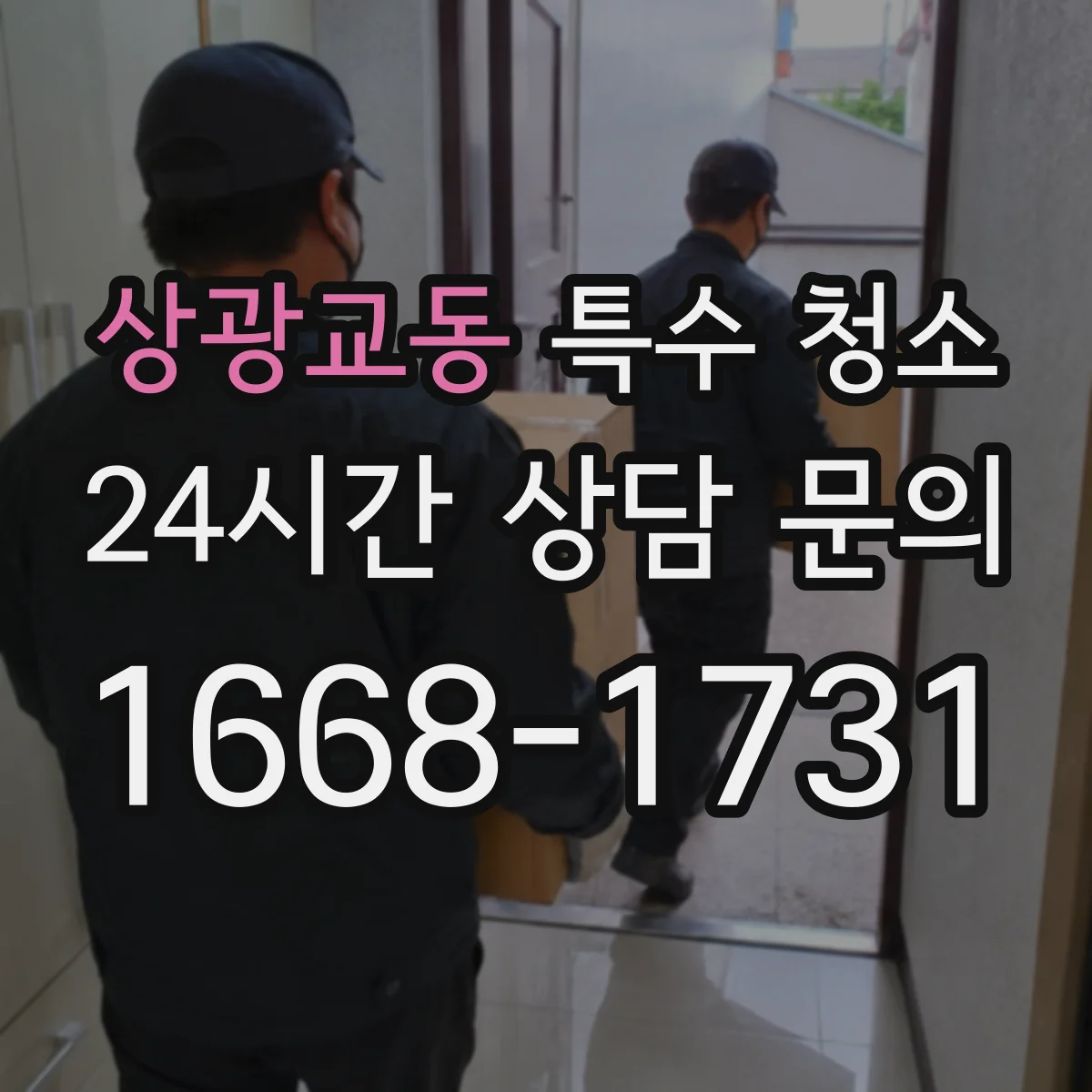 상광교동 특수 청소