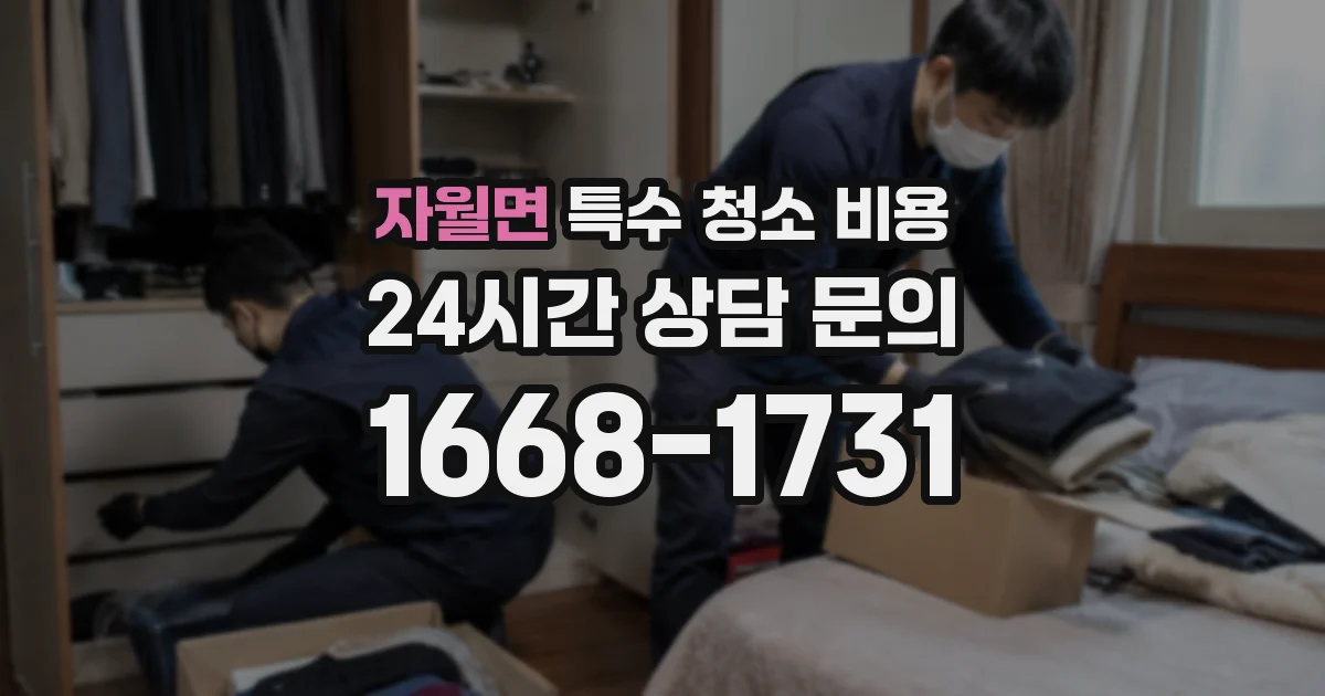 자월면 특수 청소 비용