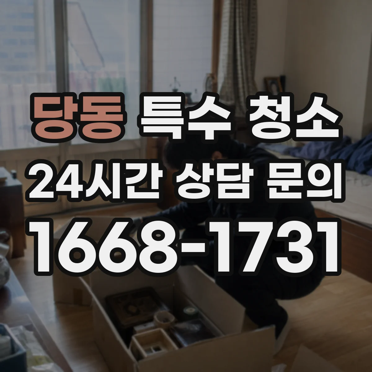 당동 특수 청소