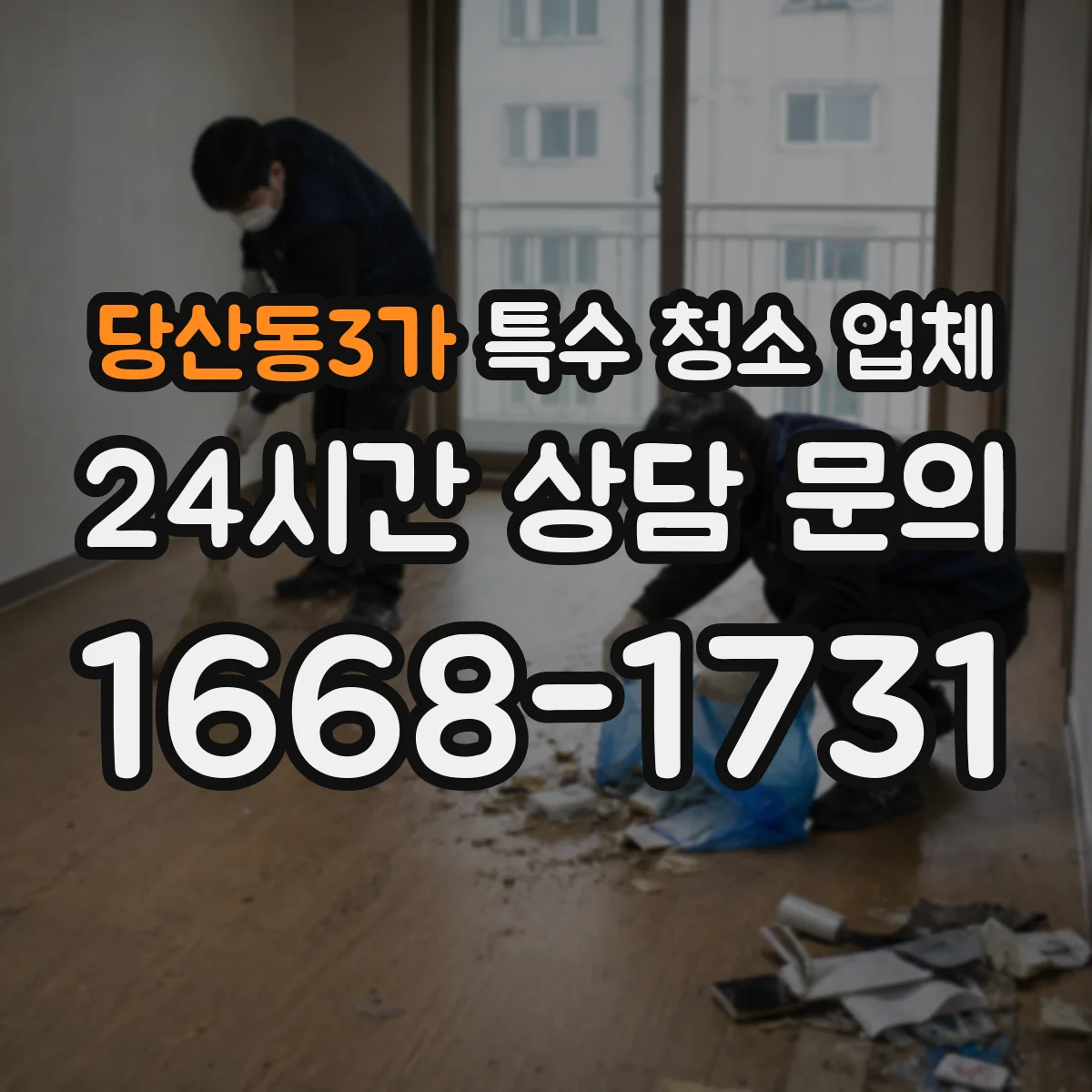 당산동3가 특수 청소 업체