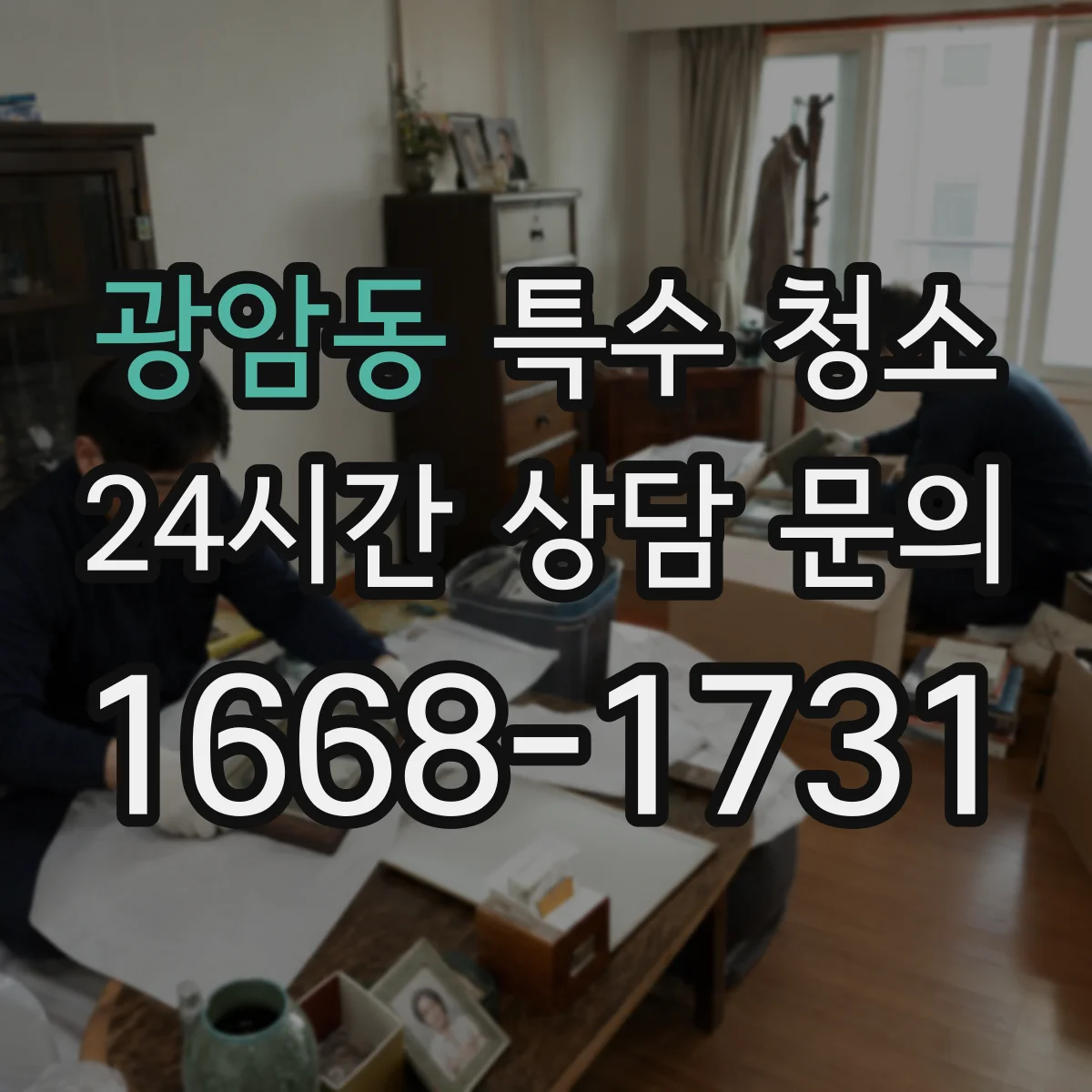 광암동 특수 청소