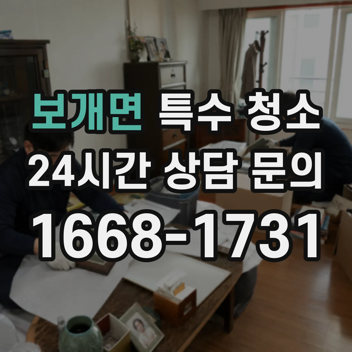보개면 특수 청소