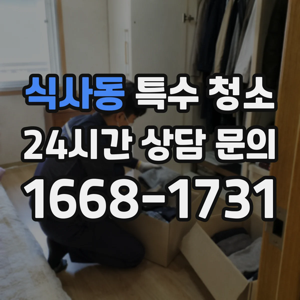 식사동 특수 청소