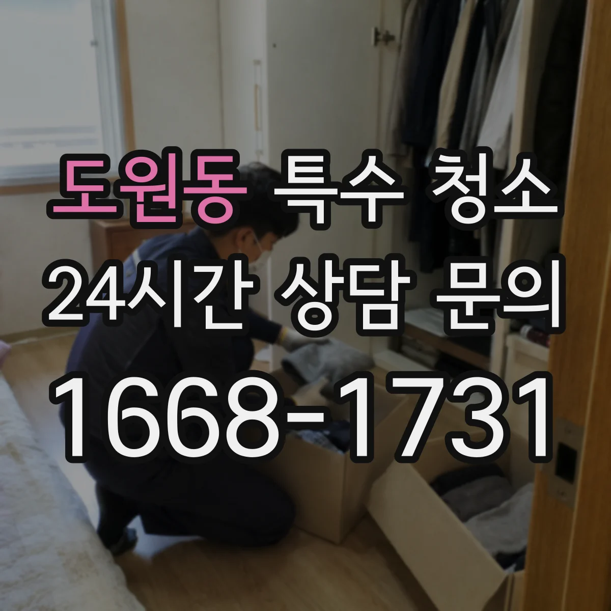 도원동 특수 청소