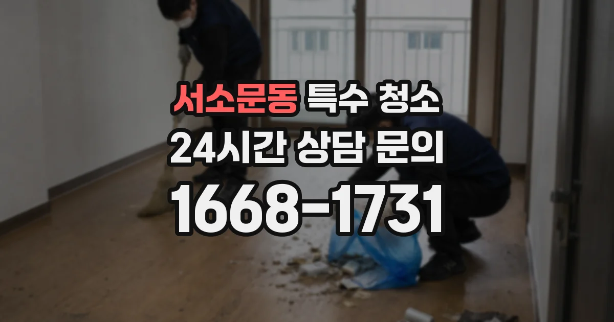 서소문동 특수 청소