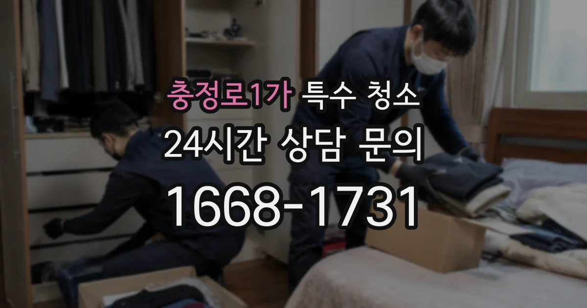 충정로1가 특수 청소